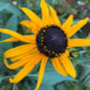 Meet your Posher, Danny